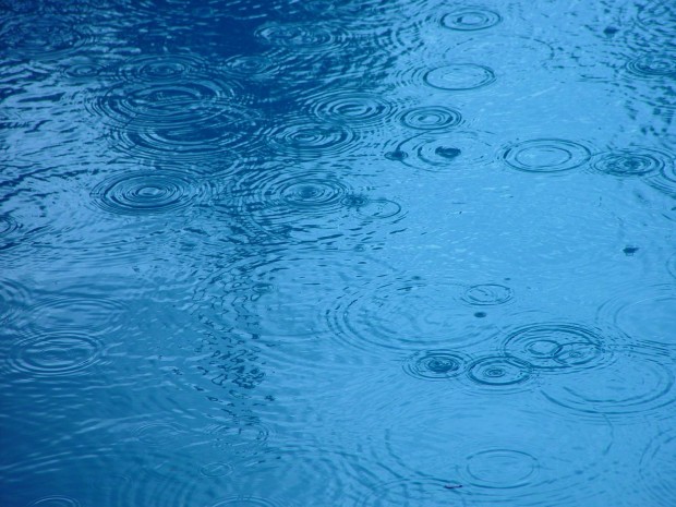 Raindrop ripples on a pond