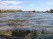 Sea and Rocks